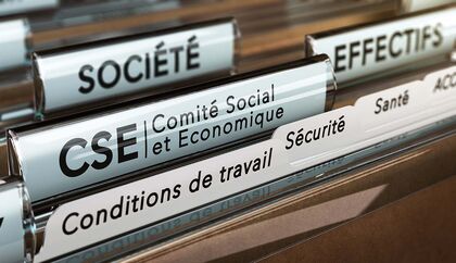 Gestion des ressources humaines 